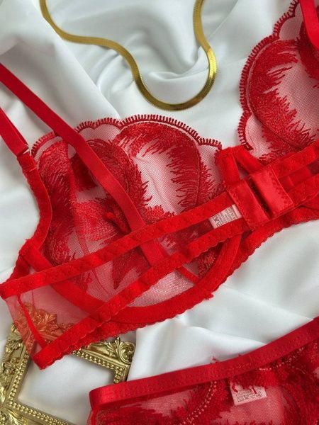 Романтична білизна Комплект білизни жіночий (бюстгальтер, трусики, пояс, гартери) L - Червоний Nova Vega у кольорі Червоний &mdash; фото товару, артикул 109-DO3410-2