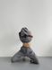 Костюм женский теплый на флисе - джоггеры и худи - серый M-L 500102-00261 фото 6